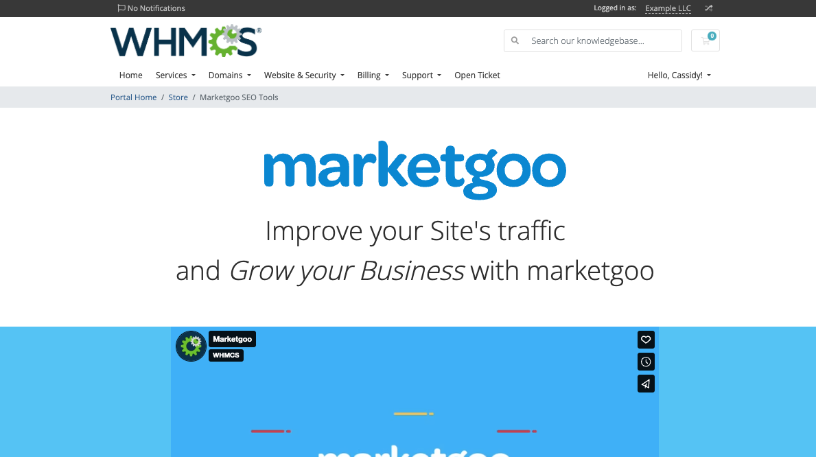 The marketgoo landing page in the Client Area